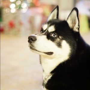 Meet your Posher, Graciela